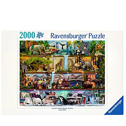 Ravensburger Puzzle Premium de 2000 Pièces Softclick Thème Magnifique Monde Animal Multicolore