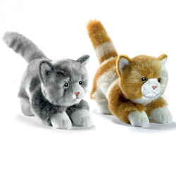 Anima Chaton joueur roux peluche 20cm