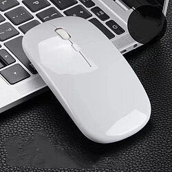 General Souris sans fil grande sourdine ergonomique rechargeable, souris optique ergonomique 2.4G, Windows PC Office, noir() pas cher