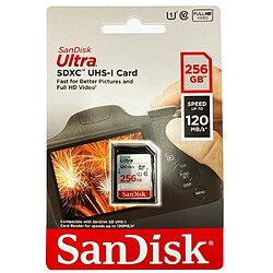 Carte mémoire flash - SANDISK - - 256GB - - (SDSDUN4-256G-GN6IN)