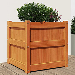 Maison Chic Jardinière,Bac à fleurs - pot de fleur cire marron 50x50x50 cm bois de pin massif -GKD58263