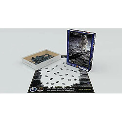 Avis Puzzle marche sur la lune Eurographics (1000 piAces) (6000-4953)