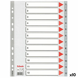 Séparateurs Esselte Numéroté Gris A4 12 Volets (10 Unités)