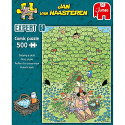 Jumbo- Expert 2-Enjoying a Picnic (500 Pieces) Jigsaw Puzzle, 20090, Multicolore pas cher