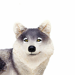 Safari Loup Gris