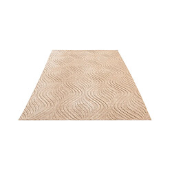 Avis Vidal Tapis de laine 231x157 brun Darya