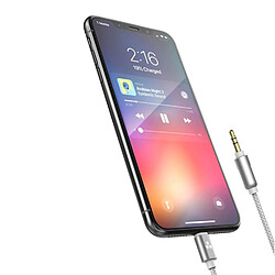 Acheter iLike AX3 Câble Lightning tressé durable vers prise audio stéréo 3,5 mm AUX Câble 1 m Argent