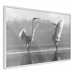 Paris Prix Affiche Murale Encadrée Black and White Herons 30 x 20 cm Blanc