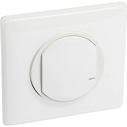 Accessoires de motorisation Legrand