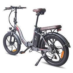 Vélo électrique FAFREES F20 Pro Pliable Batterie 36V 18Ah Vitesse Max 25km/h Gris