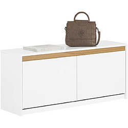 SoBuy FSR171-W Banc de Rangement à Chaussures 2 Abattants, Meuble d'Entrée, Meuble à Chaussures avec Un Compartiment Supérieur, pour Entrée, Salon, Chambre, 104x30x47 cm Blanc