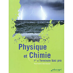 Physique et chimie, 1re et terminale bac pro - Occasion