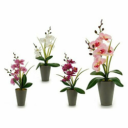 Ibergarden Plante décorative Orchidée Plastique 8 x 35 x 14 cm (12 Unités)