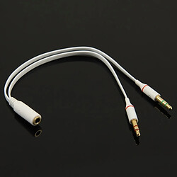 Avis Wewoo Adaptateur Audio Jack 3,5 mm Femelle à Jack 3,5 mm Mâle Microphone Jack + Jack 3,5 mm Écouteur Câble