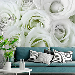 Artgeist Papier peint - Satin Rose (Green) [100x70]