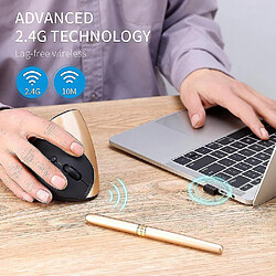 Acheter Universal Reste à ergonomie rechargeable 2,4g sans fil vertical 6 boutons 1600dpi régler la souris de la batterie pour