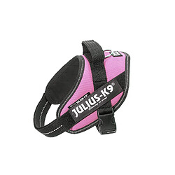 Julius-K9 IDC-Power Harnais pour Chien Rose Taille Mini