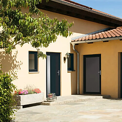 vidaXL Porte d'entrée anthracite 98x200 cm PVC