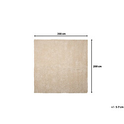 Beliani Tapis épais 200 x 200 cm beige clair DEMRE