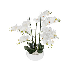 Atmosphera, Createur D'Interieur Orchidée en pot H. 65 cm blanc - Atmosphera