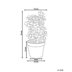 Avis Beliani Plante artificielle HOUSELEEK 31 cm