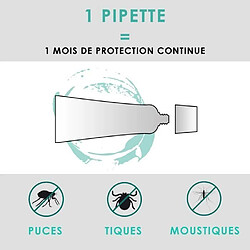 Avis VETOCANIS 2 Pipettes anti-puces et anti-tiques - Pour chien 10-20 kg - 2x 1 mois de protection