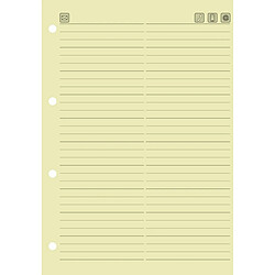 Baier schneider &insert recharge pour répertoire jaune 149 de 100 x 212 mm,lot de 1 (10 pièces)