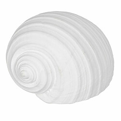 BigBuy Home Figurine Décorative Blanc Conque 15 x 11 x 9 cm