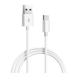 Avizar Cable Micro USB Charge rapide Transfert De Données Longueur 1m Blanc