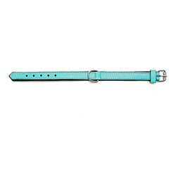 Collier pour Chien Gloria Rembourré Turquoise (55 x 2,5 cm)