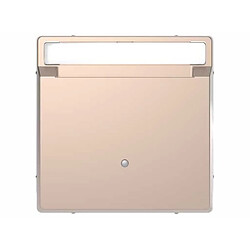 Schneider electric mtn3854 ? 6051 couvercle pour commutateur de carte pour mécanisme de la gamme d-life, Champagne