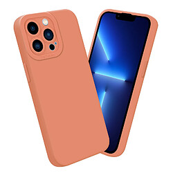 Acheter Cadorabo Coque iPhone 13 PRO MAX Etui en Orange