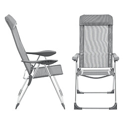 Lot de 2 Chaises de Jardin Errenteria avec Accoudoirs Dossier Inclinable Gris Clair [en.casa]