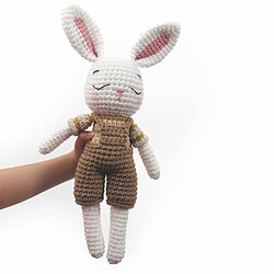 Graines Creatives Kit Crochet Mon Ami Gurumi Lapin