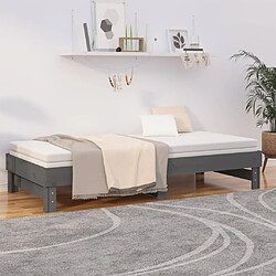 Avis vidaXL Lit coulissant sans matelas gris 2x(80x200)cm