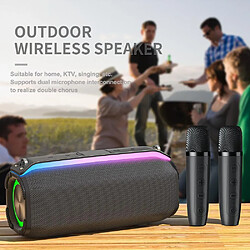 Yonis Enceinte Bluetooth Portable 20W Son HD Design Unique Autonomie 6H Micro Intégré