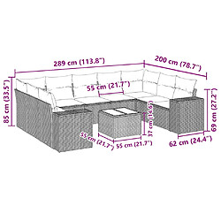 Acheter vidaXL Salon de jardin 10 pcs avec coussins noir résine tressée