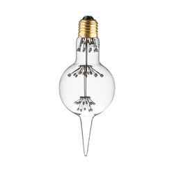 Magneticland Ampoule Lampe E27 LED Déco Blanc Chaud