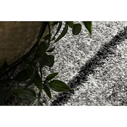 RUGSX Tapis SILVER TRONKO Arbre Bois - gris 300x400 cm pas cher