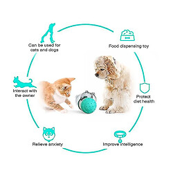 Avis Universal Chat chat bas de ligne lent bol jouet pour animaux de compagnie Récipient de récipient interactif interactif Toys