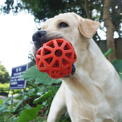 Jouet pour chien