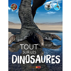 Tout sur les dinosaures - Occasion