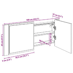 vidaXL Armoire à miroir à LED de bain gris sonoma 100x12x45 cm pas cher