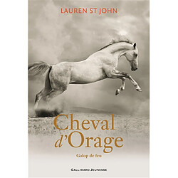 Cheval d'orage. Vol. 3. Galop de feu