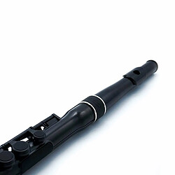 Avis N230SFBK Student Flute black Nuvo