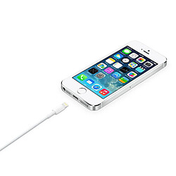 Avizar Cable Usb Compatible iPhone Ipad iPod 2 Mètres Blanc