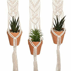 Lot de 3 Plantes Suspendues Hacienda 68cm Ivoire