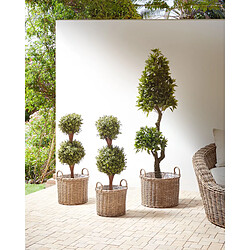 Beliani Lot de 3 pots de fleurs PENDULA Polyrotin Naturel