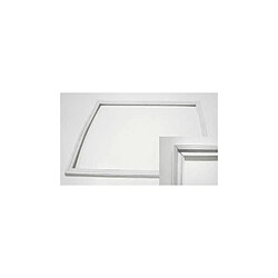 Indesit JOINT BLANC PORTE FREEZER 530X404 P900