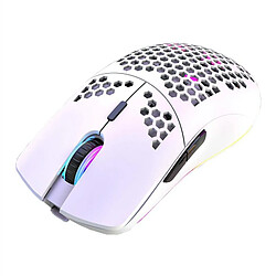 Yonis Souris Gaming Sans Fil RGB Ultra Légère